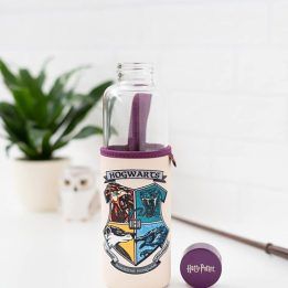Stiklinė gertuvė 500 ml su Hogvartso motyvu Harry Potter