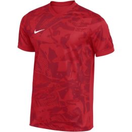 Vyriški marškinėliai Nike Dri-FIT Precision VII, raudoni