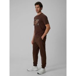 Vyriškos jogger kelnės 4F, rudos