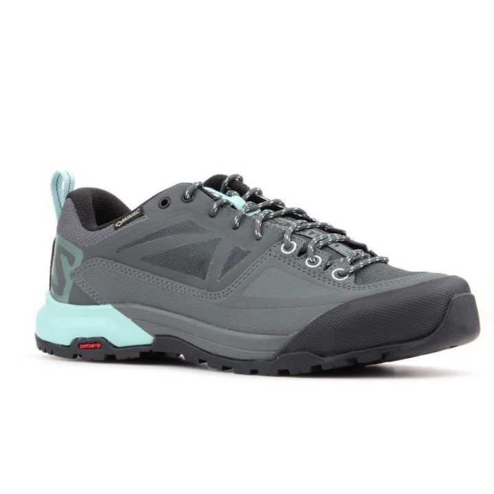 Vyriški sportiniai batai su GORE-TEX Salomon X Alp Spry