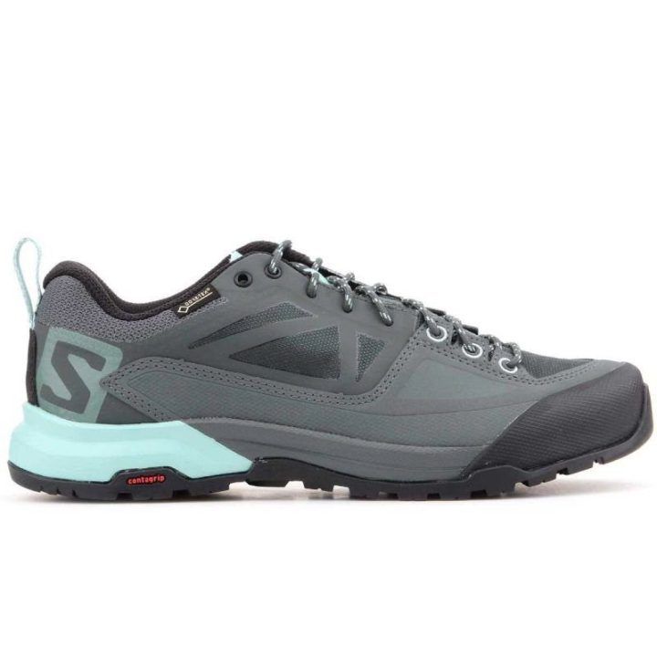 Moteriški žygio batai su GORE-TEX Salomon X Alp Spry GTX