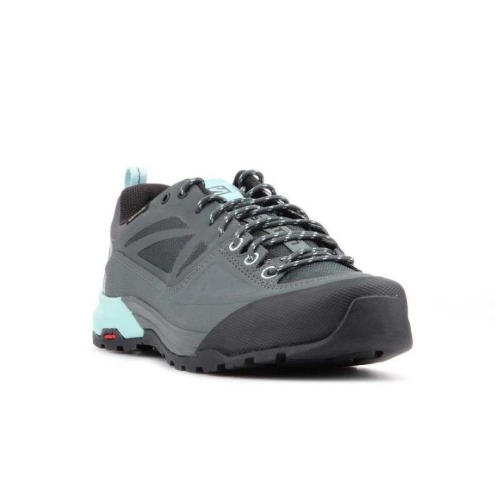 Vyriški sportiniai batai su GORE-TEX Salomon X Alp Spry