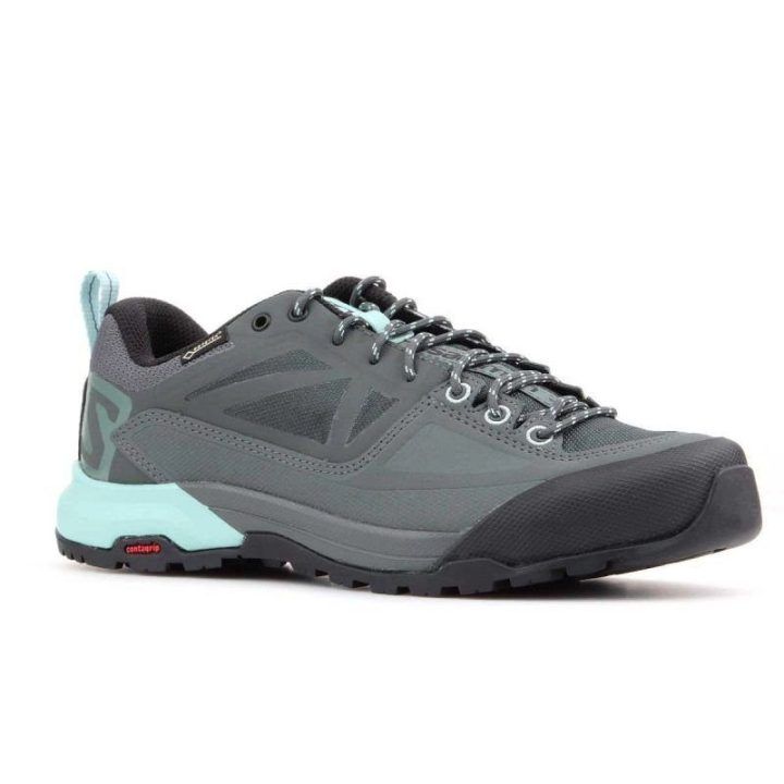 Moteriški žygio batai su GORE-TEX Salomon X Alp Spry GTX