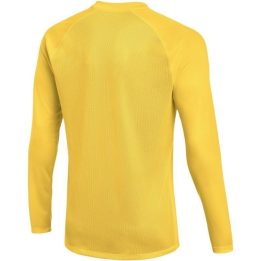 Vyriški futbolo marškinėliai Nike Dri-FIT Park VIII, geltoni