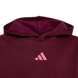 Vaikiškas medvilninis džemperis su gobtuvu adidas Essentials, bordo