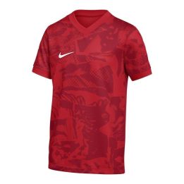 Marškinėliai Nike Dri-Fit Precision VII FZ9332-100