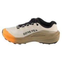 Moteriški sportiniai batai Salomon Genesis 2 GTX, rudi