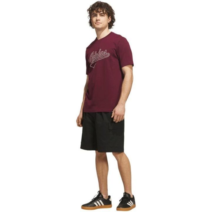 Vyriški medvilniniai marškinėliai adidas Varsity Tailsweep, bordo