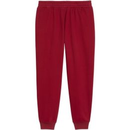 Moteriškos sportinės kelnės Puma ESS Script Comfort, raudonos