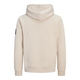 Vyriškas džemperis su gobtuvu Jack&Jones Cleveland, Moonbeam