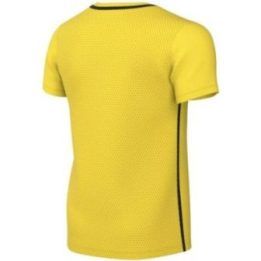 Vaikiški marškinėliai Nike Dri-FIT Park 26, geltoni