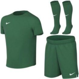 Vaikiškas sportinis komplektas Nike Dri-Fit Park VIII, žalias
