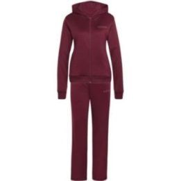 Moteriškas sportinis kostiumas adidas Essentials Linear, bordo