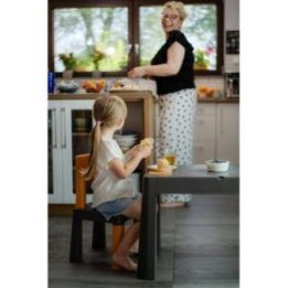 Stalo ir kėdutės komplektas vaikams Teggi Multifun, grafito ir garstyčių spalvos