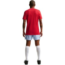 Vyriški marškinėliai Nike Dri-FIT Park 26, HM7127 657, raudoni