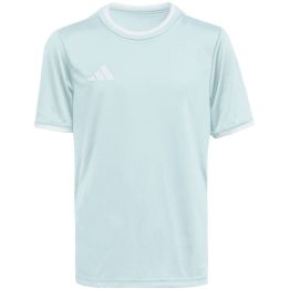 Vaikiški futbolo marškinėliai adidas Entrada 26, žydri