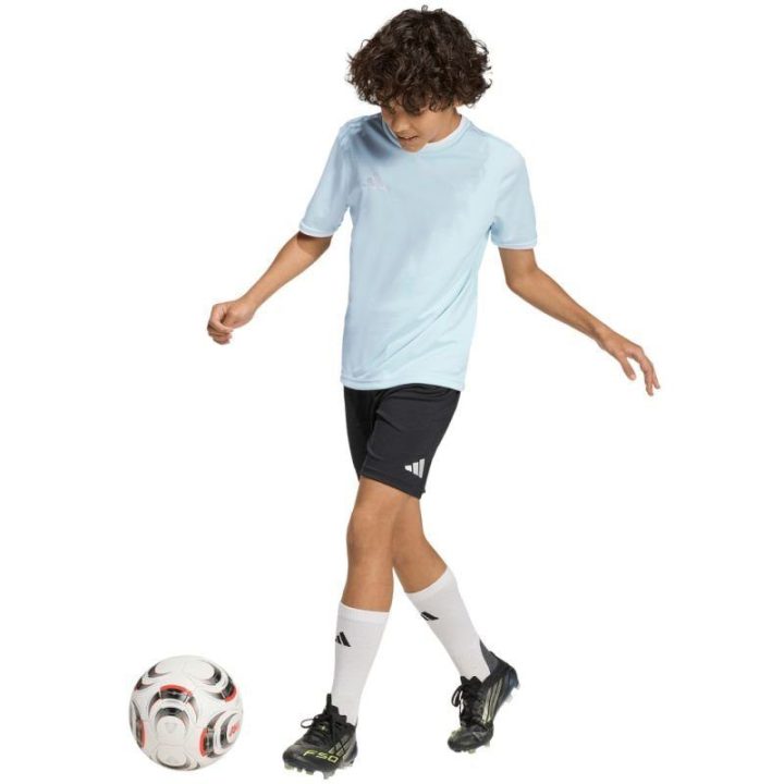 Vaikiški futbolo marškinėliai adidas Entrada 26, žydri