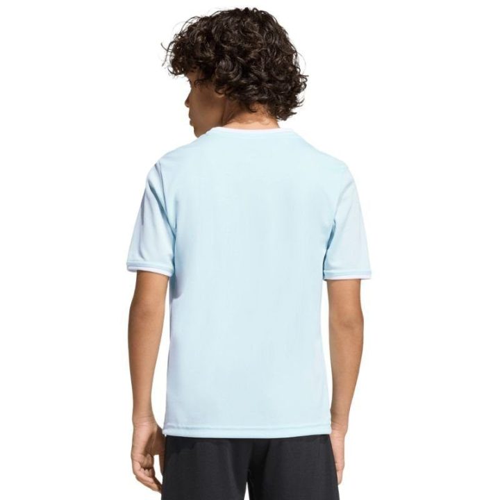 Vaikiški futbolo marškinėliai adidas Entrada 26, žydri