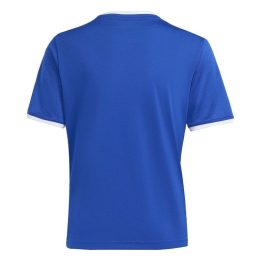 Vaikiški marškinėliai adidas Entrada 26