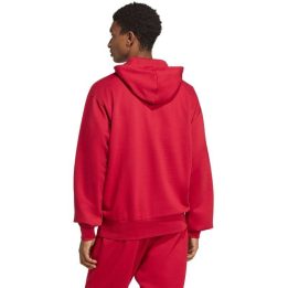 Vyriškas džemperis su gobtuvu adidas Essentials Feelcozy, raudonas