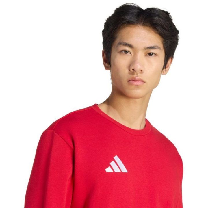 Vyriškas medvilninis džemperis adidas Entrada 26, raudonas