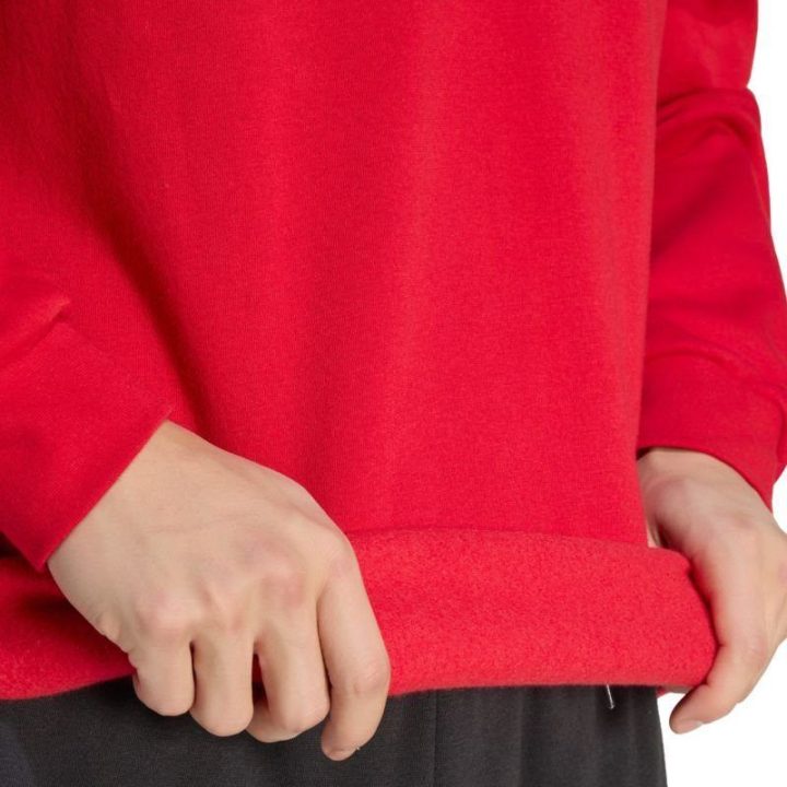 Vyriškas medvilninis džemperis adidas Entrada 26, raudonas
