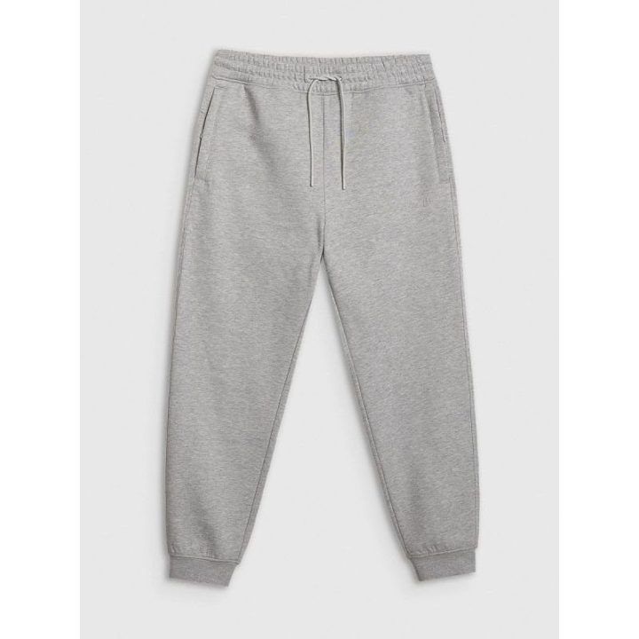 Vyriškos sportinės kelnės įprasto kirpimo 4F, pilkos