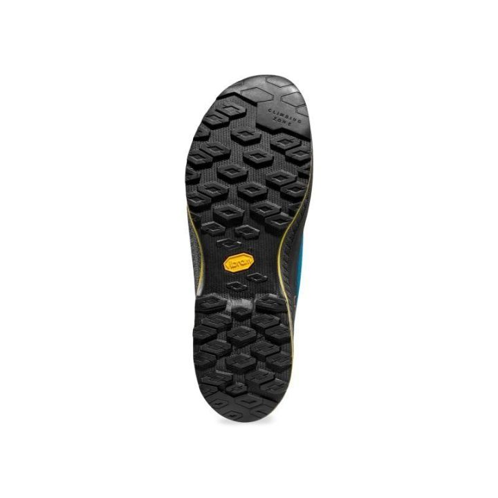 Žygio batai La Sportiva TX4 Evo GTX, mėlyni ir bambuko spalvos