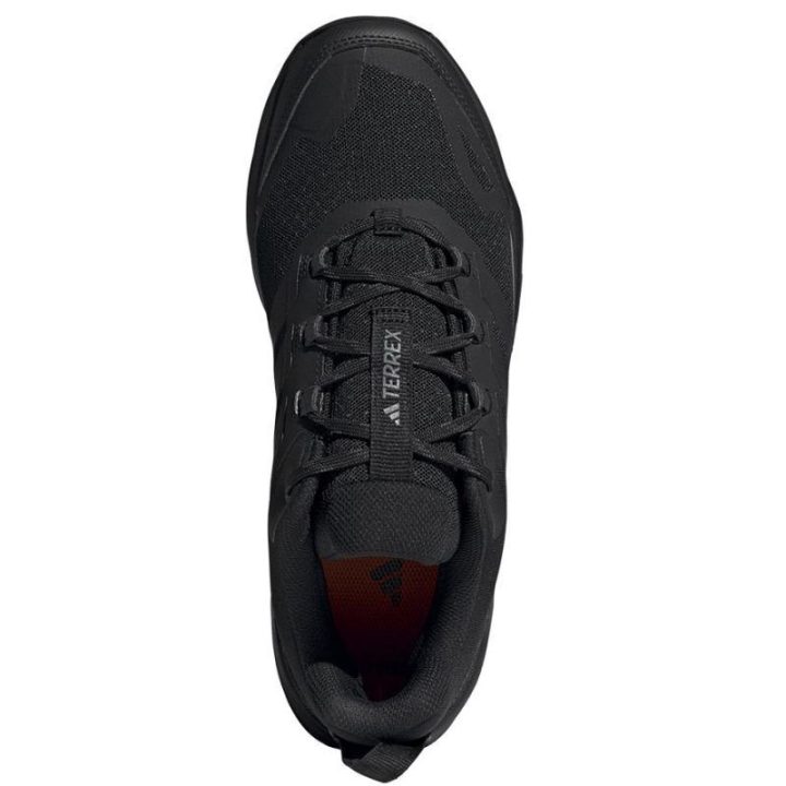 Vyriški žygio batai adidas Terrex Skychaser AX5