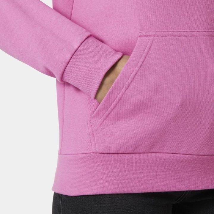 Moteriškas džemperis su gobtuvu Helly Hansen Core Graphic