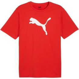 Vyriški medvilniniai marškinėliai Puma TeamRISE, raudoni