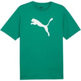 Vyriški medvilniniai marškinėliai Puma TeamRISE, žali