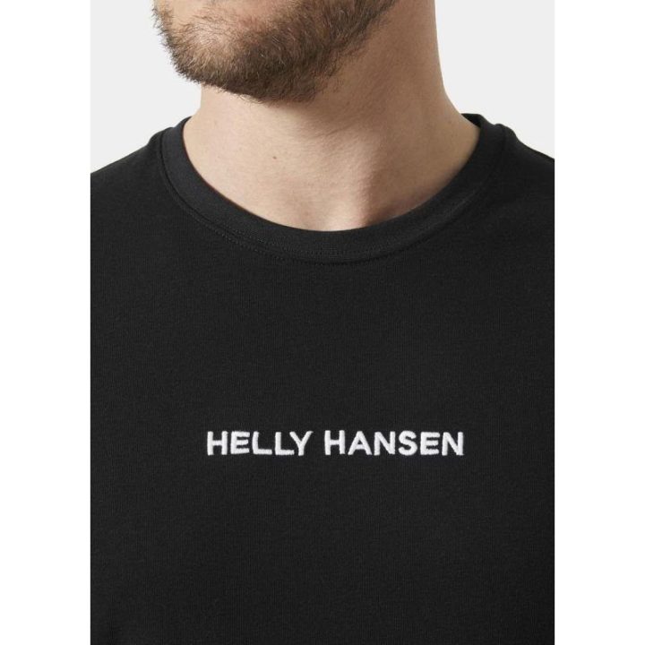 Vyriški medvilniniai marškinėliai Helly Hansen HH Core 2.0