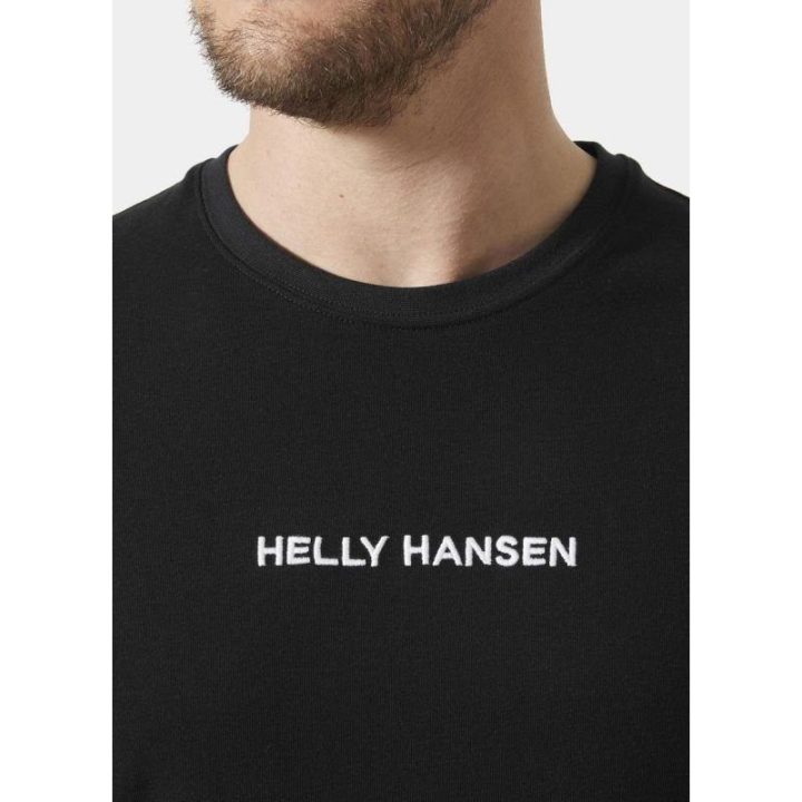 Vyriški medvilniniai marškinėliai Helly Hansen HH Core 2.0