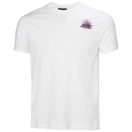Vyriški marškinėliai Helly Hansen Core Graphic T 2.0