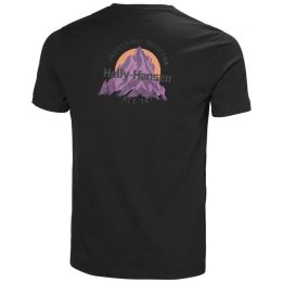 Vyriški medvilniniai marškinėliai Helly Hansen Core Graphic T 2.0