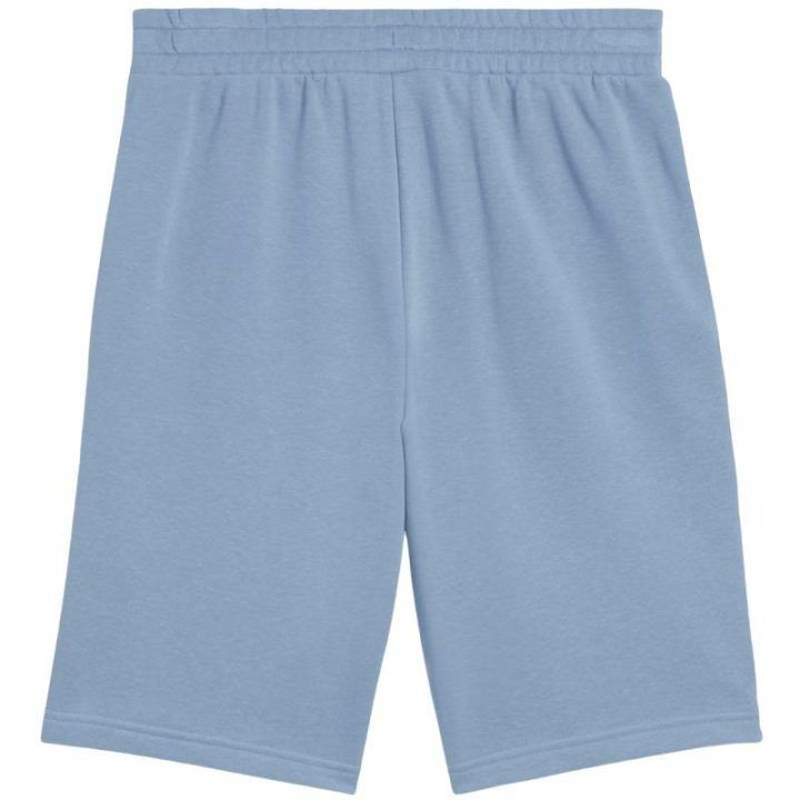 Vyriški medvilniniai šortai Puma Ess 2 Color No. 1 Logo, mėlyni