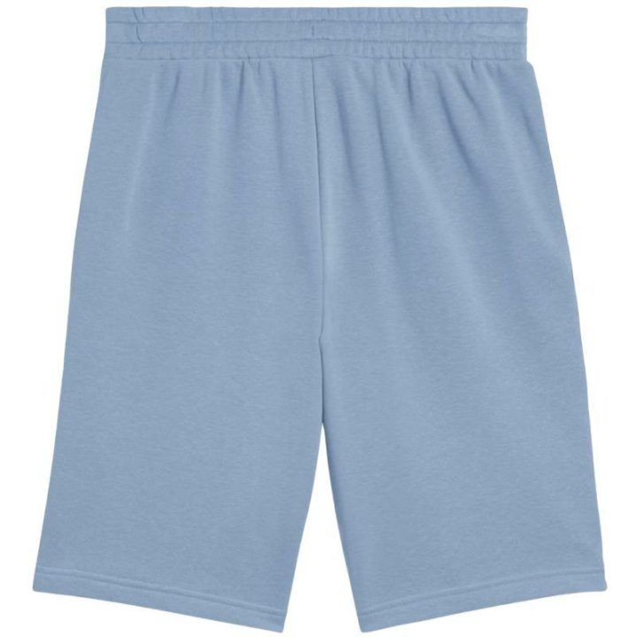 Vyriški medvilniniai šortai Puma Ess 2 Color No. 1 Logo, mėlyni