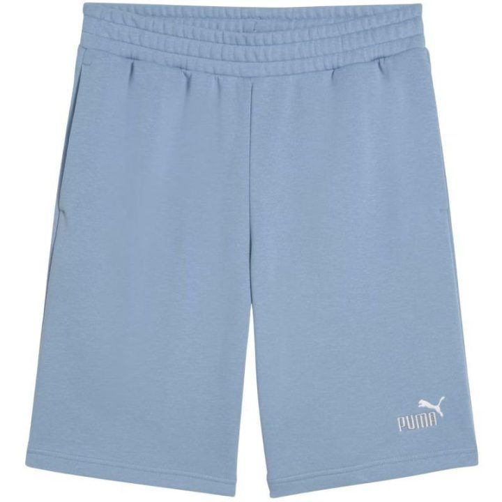 Vyriški medvilniniai šortai Puma Ess 2 Color No. 1 Logo, mėlyni
