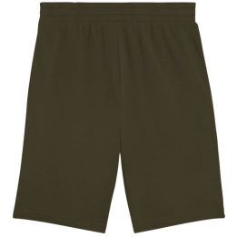 Vyriški medvilniniai šortai Puma Ess 2 Color No. 1 Logo, chaki