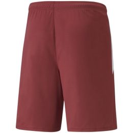 Vyriški greitai džiūstantys šortai Puma teamLIGA, bordo