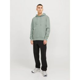 Vyriškas džemperis su gobtuvu Jack&Jones JJESTAR, šviesiai žalsvas