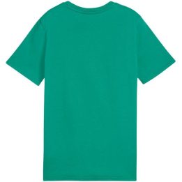 Vaikiški medvilniniai marškinėliai Puma Team Goal Casuals