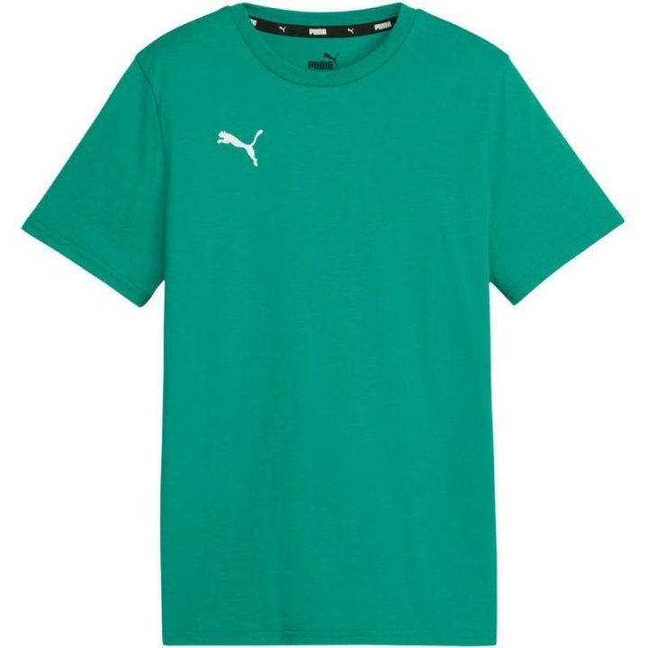 Vaikiški medvilniniai marškinėliai Puma Team Goal Casuals