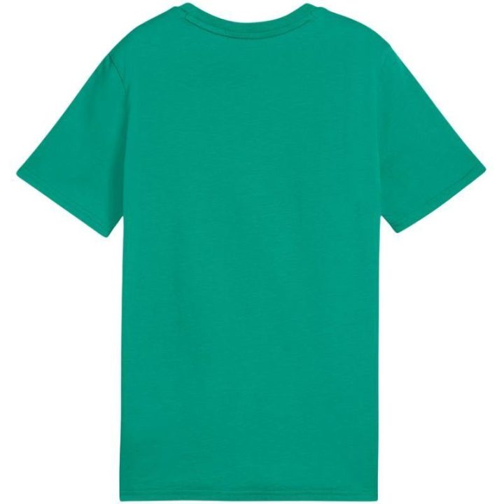 Vaikiški medvilniniai marškinėliai Puma Team Goal Casuals