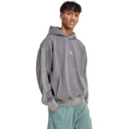 Vyriškas medvilninis džemperis su gobtuvu adidas ALL SZN, pilkas