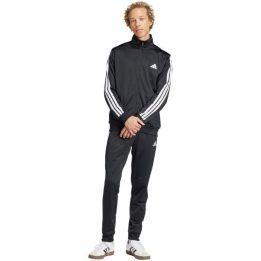 Vyriškas sportinis kostiumas adidas Sportswear Basic