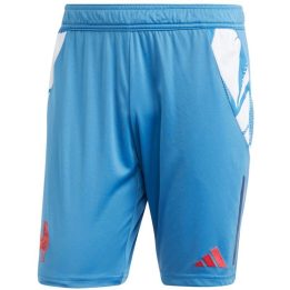 Vyriški prigludę regbio šortai adidas France Gym, mėlyni