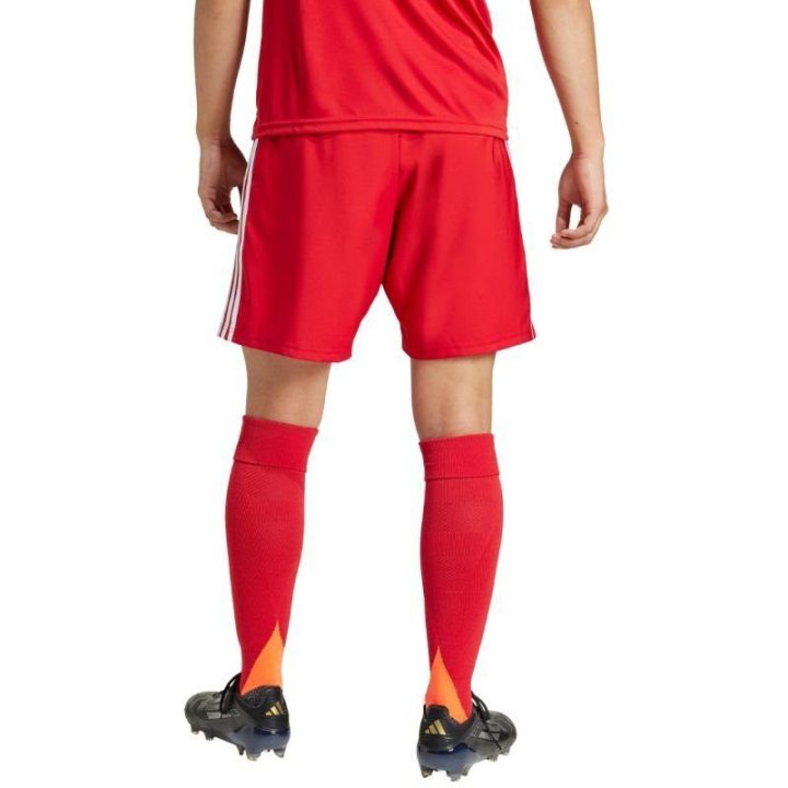 Vyriški futbolo šortai adidas Tastigo 25, raudoni