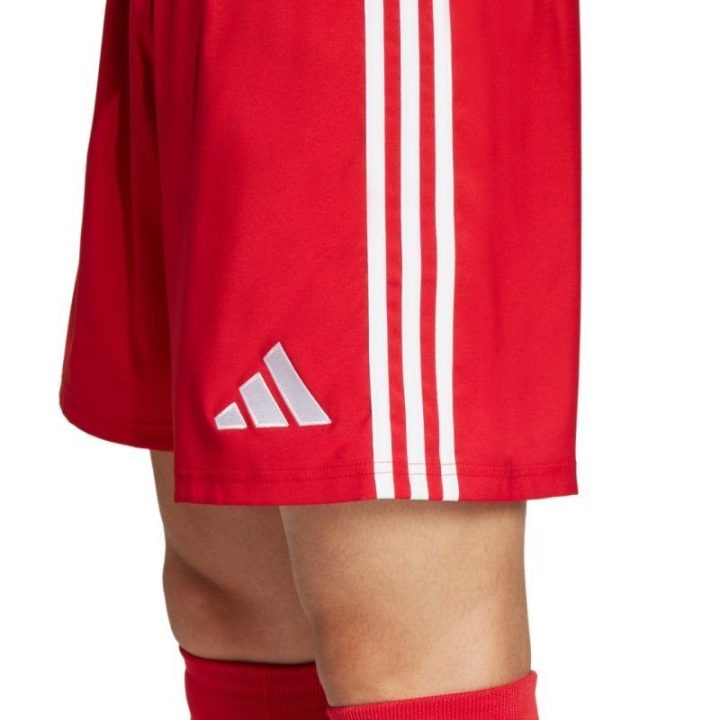 Vyriški futbolo šortai adidas Tastigo 25, raudoni